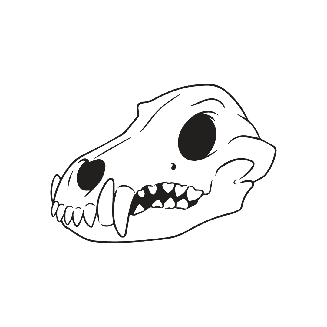 kennel